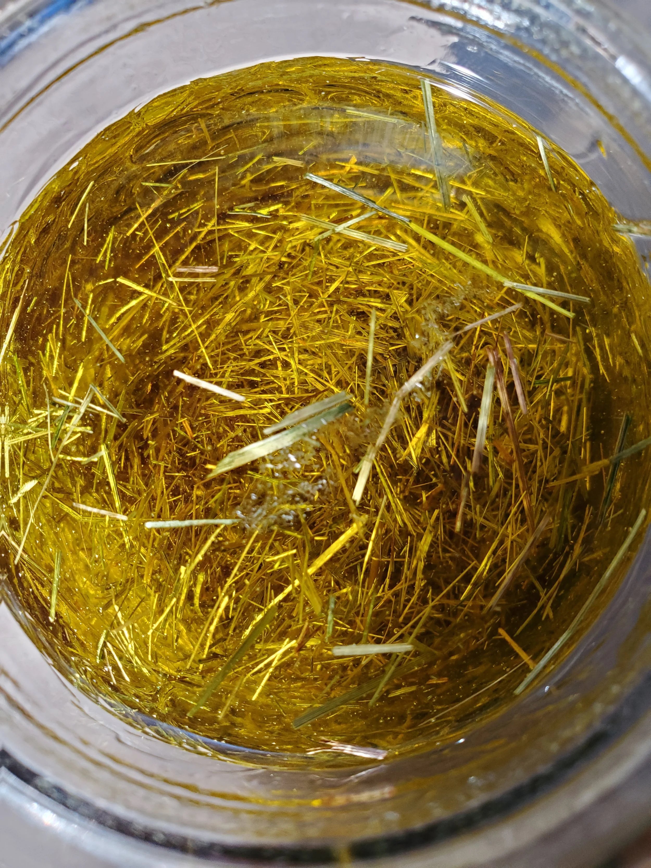 Bear Grease Sweetgrass Salve 50g