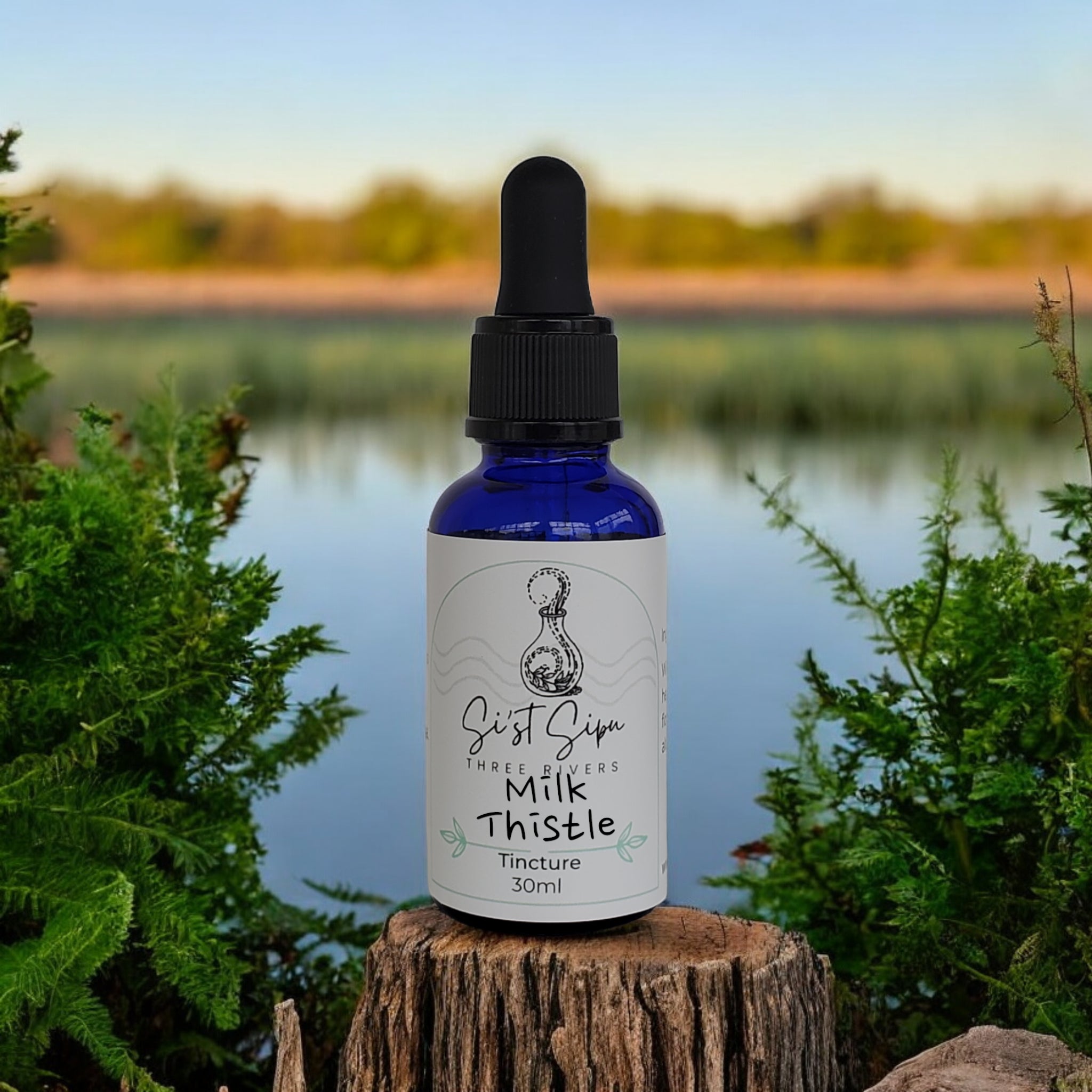 Milk Thistle Tincture