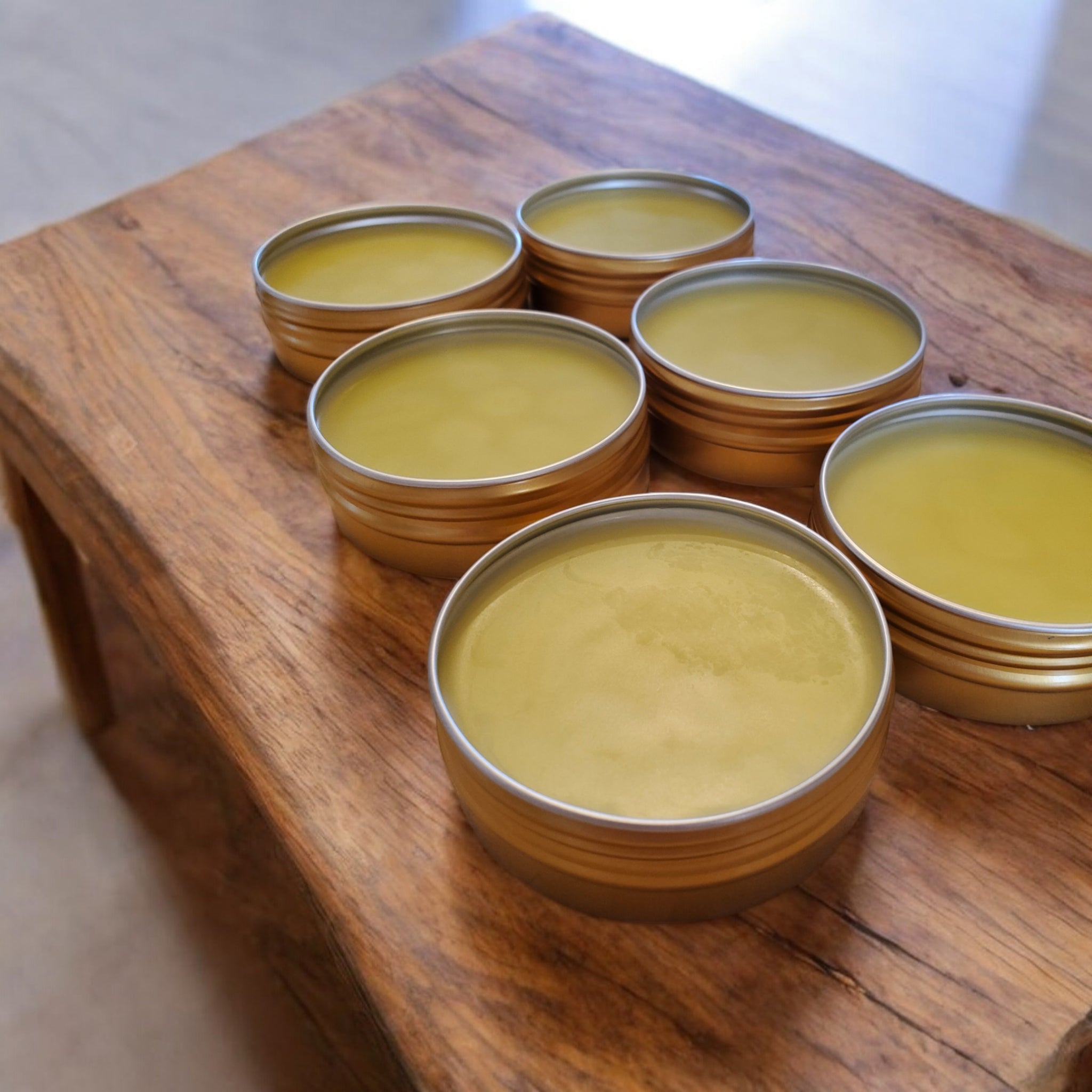 Bear Grease Birch Bud Salve 50g