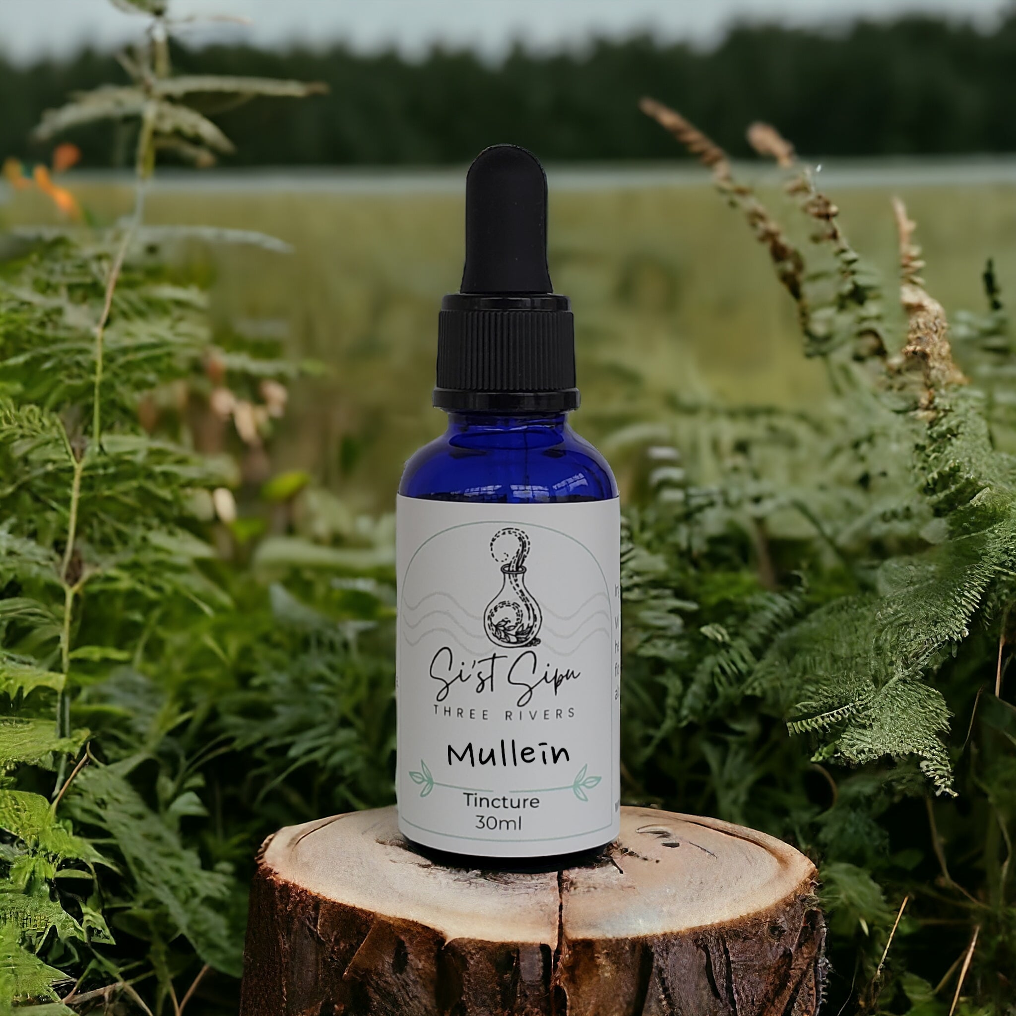 Mullein Leaf Tincture